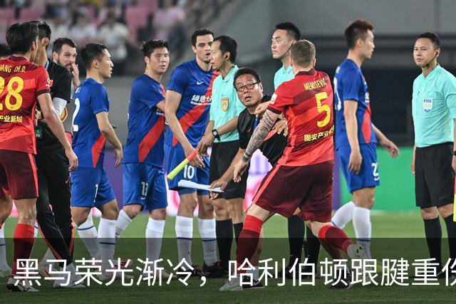 黑马荣光渐冷，哈利伯顿跟腱重伤归来重新出发